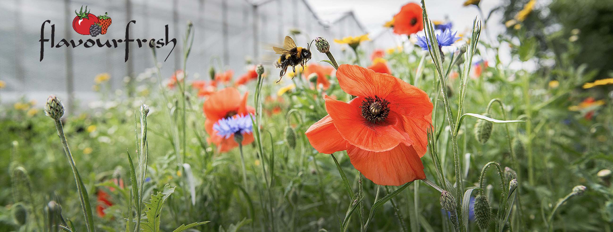 creative production agency - photography - location production 1